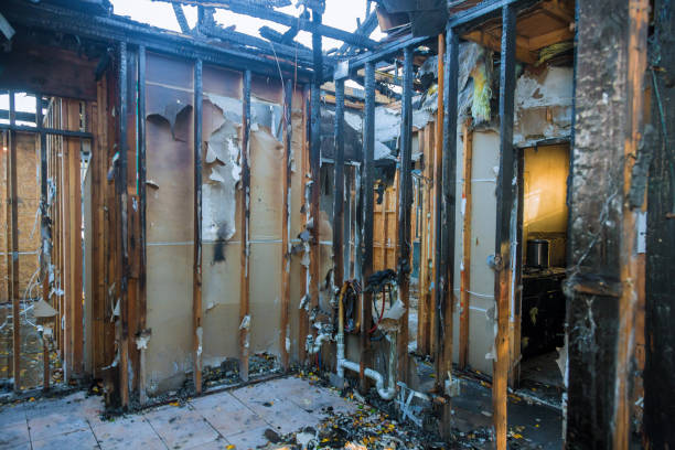 Professional Fire Damage Repair technician working in Ames Lake, WA